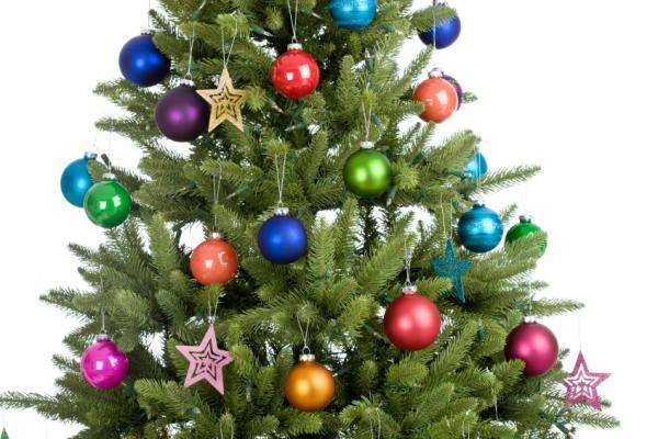 Christmas Meeting and Dinner - with Ladies